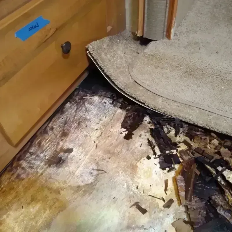 Wood Floor Water Damage in Garfield, NJ